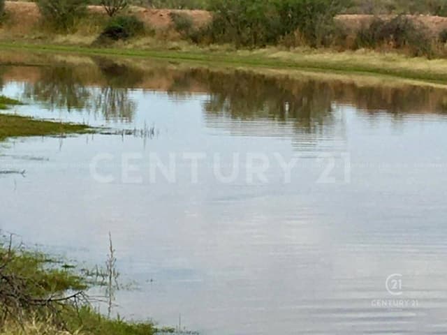 TERRENO EN VENTA EN TALAMANTES, CD DELICIAS, CHIH.