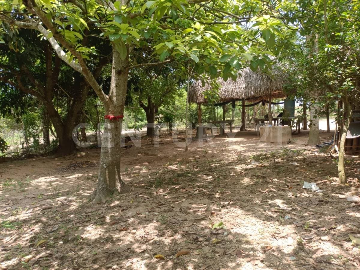 Fotos adicionales