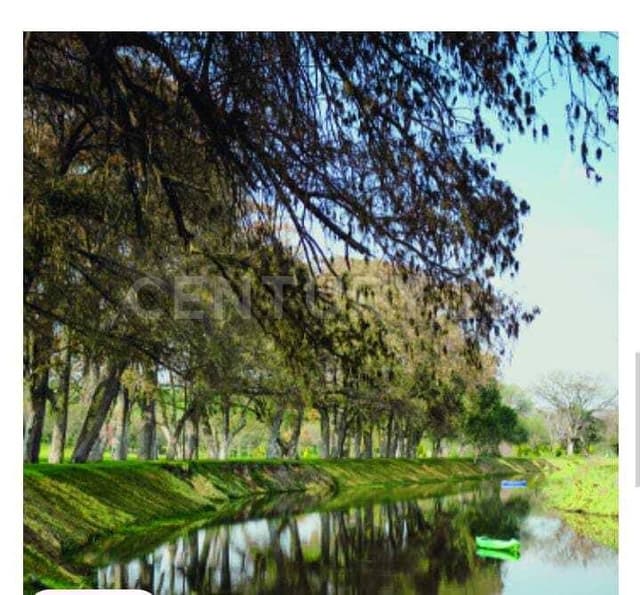 TERRENO CAMPESTRE (GRAN RESERVA LOS SABINOS)