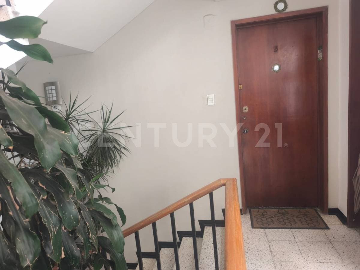 Fotos adicionales