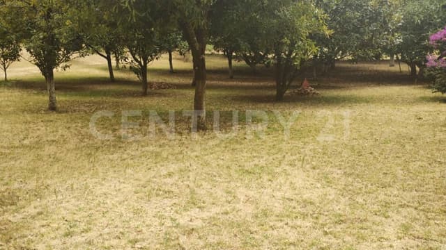 TERRENO EN VENTA EN GODÍNEZ, VALLE DE BRAVO
