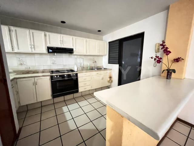 DEPARTAMENTO EN VENTA PLANTA BAJA ZONA COL GUADALUPE