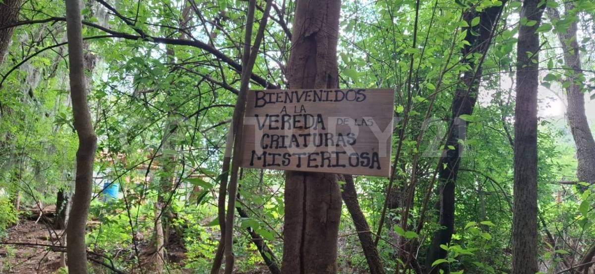 Fotos adicionales