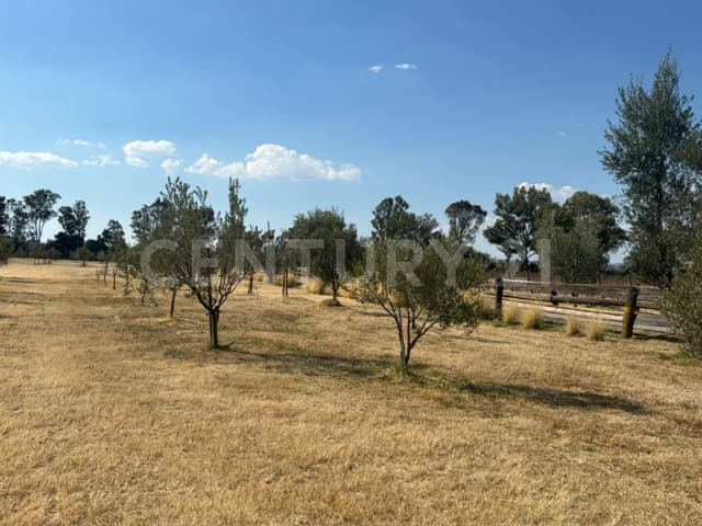 Terreno en Venta en Viñedos San Lucas, San Miguel de Allende, Gto