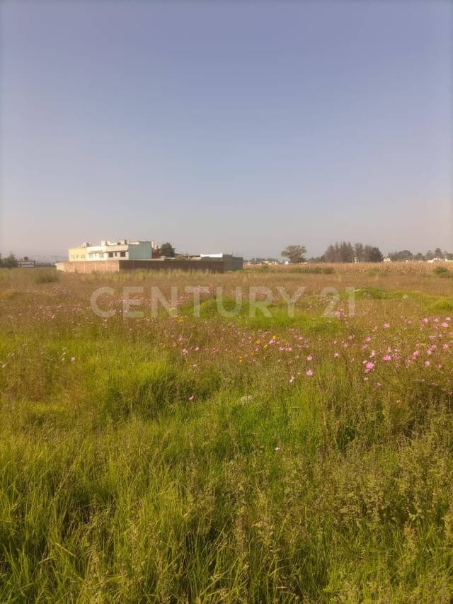 VENTA DE TERRENO EN COLONIA SAN JOSE BARBABOSA, ZINACANTEPEC
