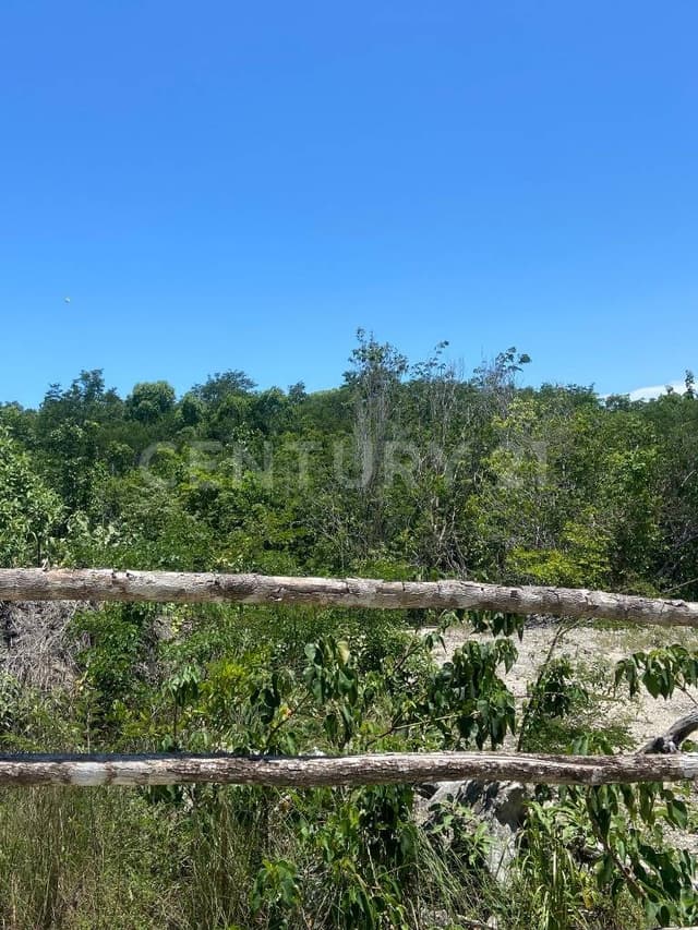 Terrenos de Inversión en Playa del Carmen