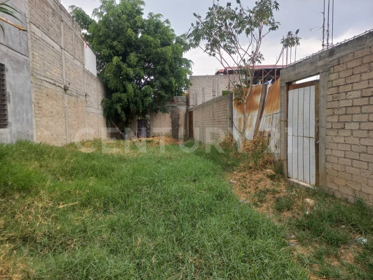 Fotos adicionales