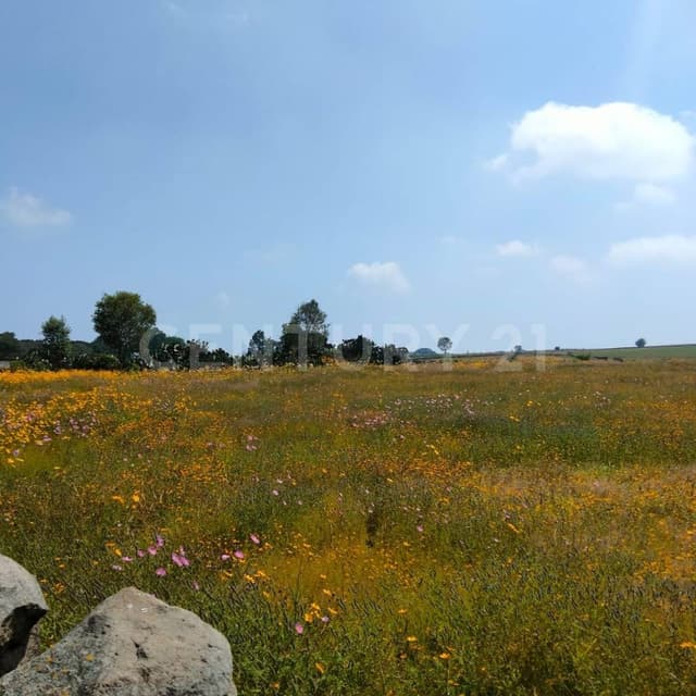 Terreno en Venta en Acazuchitlán Jilotepec Estado de Mexico