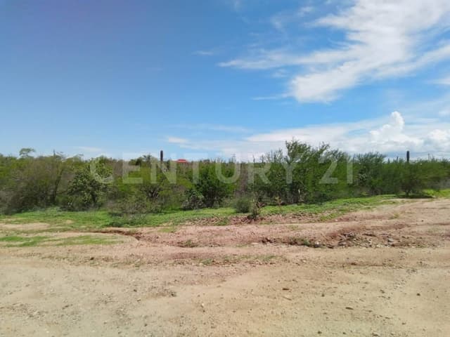 TERRENO CAMPESTRE EN LOMAS DE SAN PEDRO