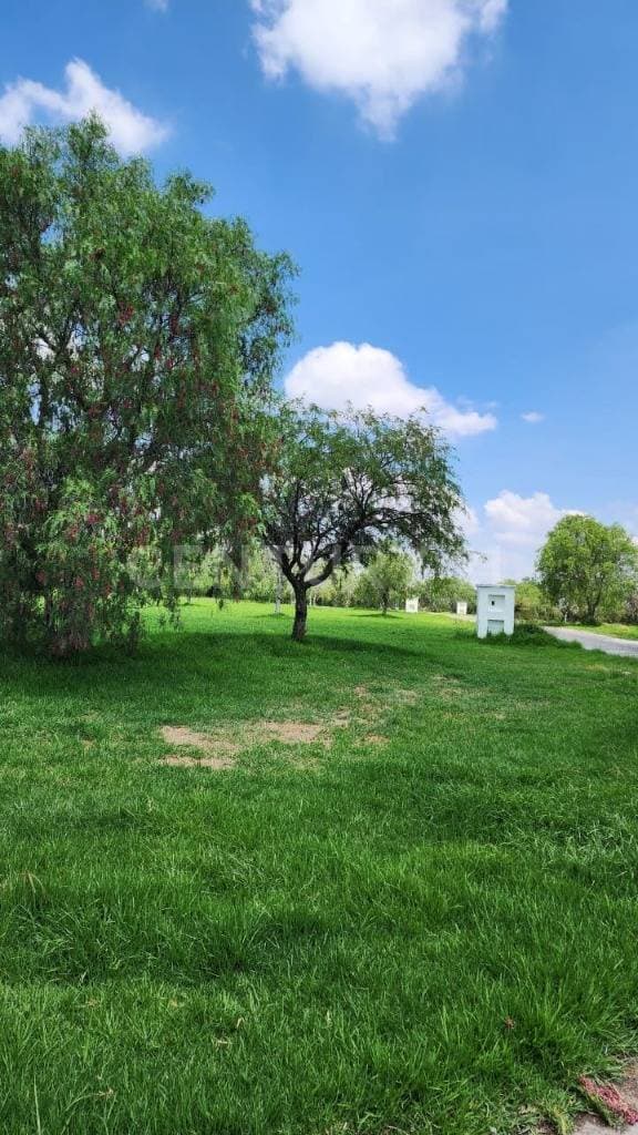 Terreno en Venta Edén Los Sabinos Aguascalientes, Ags