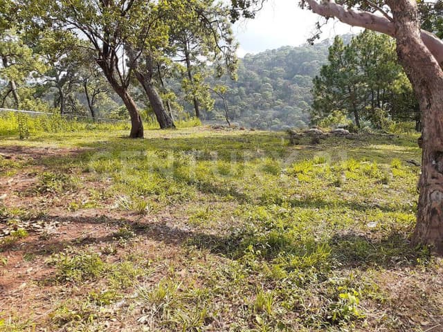 TERRENO EN EL PEDREGAL AVÁNDARO ACCESO AL LAGO