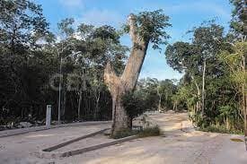 Fotos adicionales