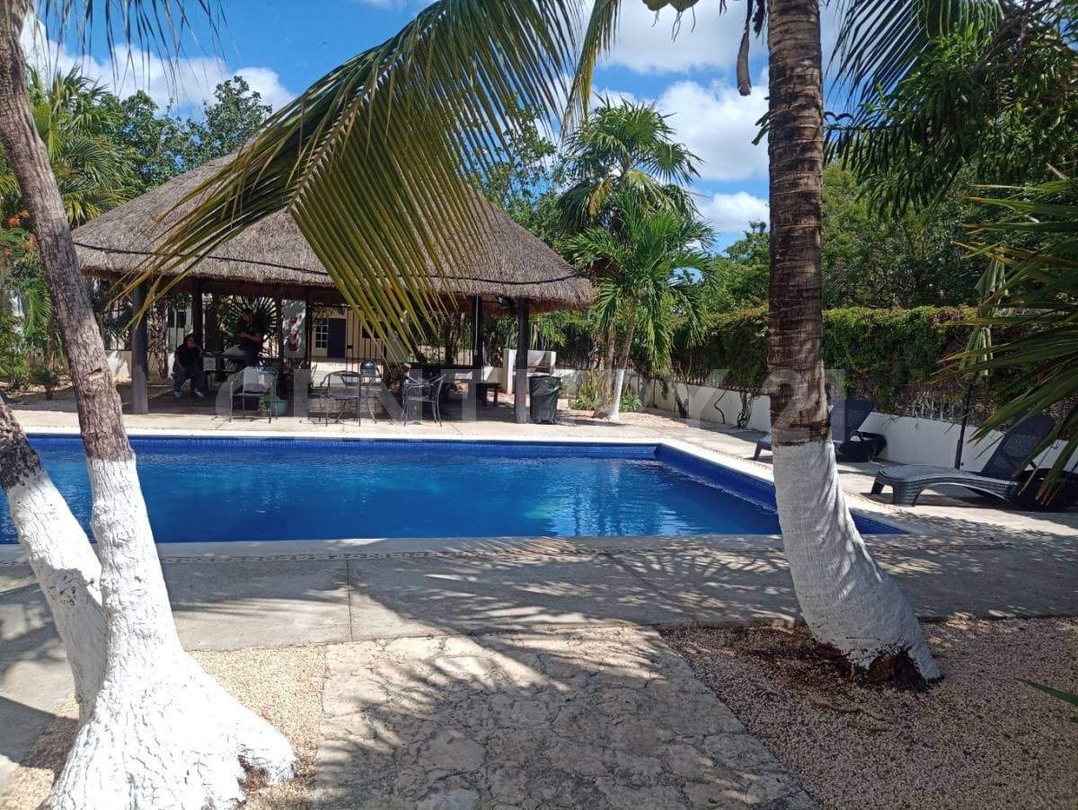 Fotos adicionales