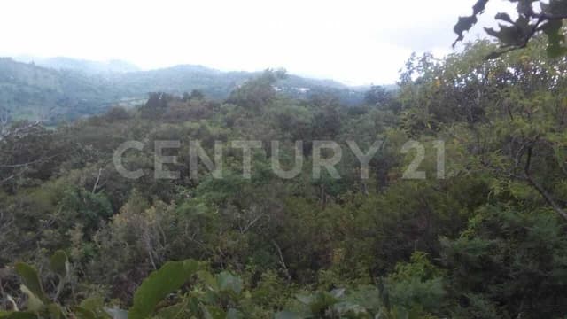 TERRENO EN VENTA EN "EL AGUACATAL" COMUNIDAD SAN JOSE BUENA VISTA SAN CRISTOBAL