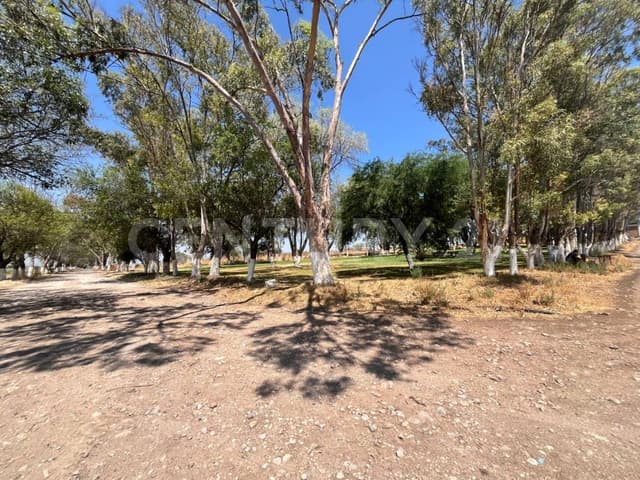 Terreno agropecuario en Venta | 10 Hectareas con cerca en San Juan del Río, Qro