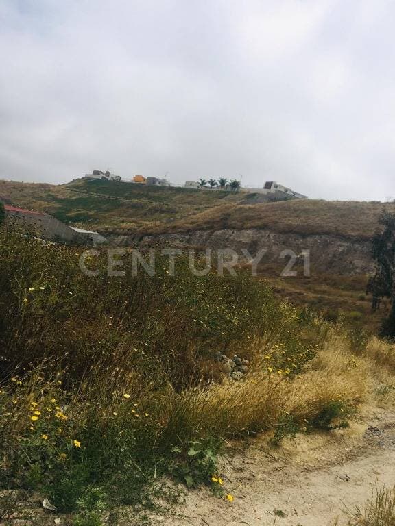 GRAN TERRENO PARA PROYECTO EN VENTA EN LA GLORIA TIJUANA