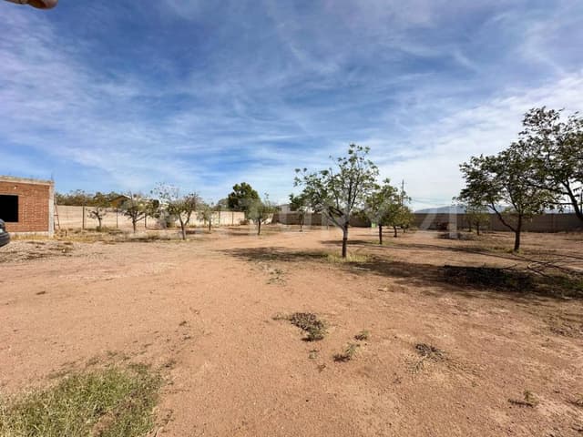 Terreno en Venta col. Tabalaopa, Chihuahua