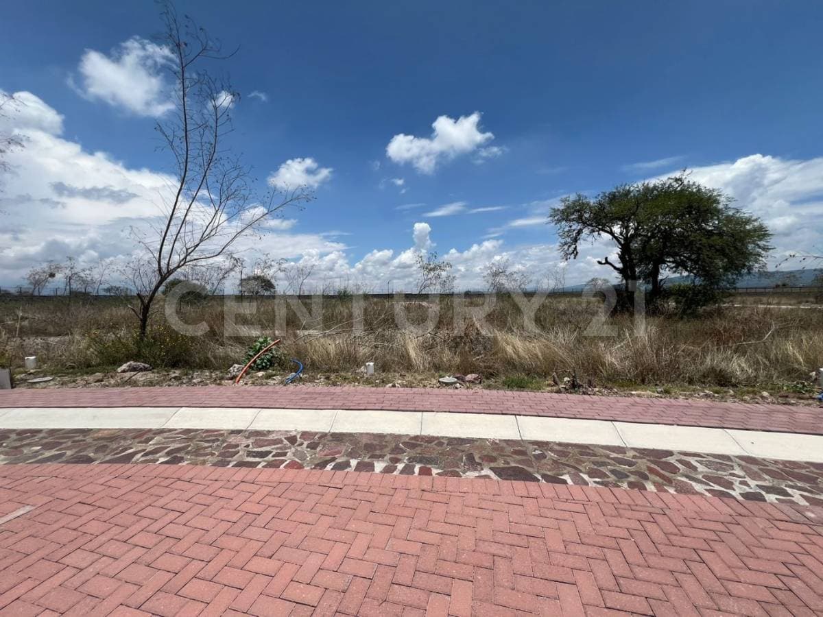Fotos adicionales