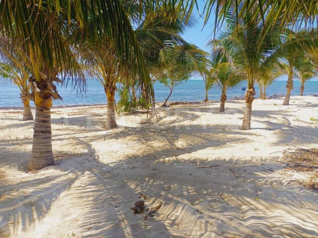 Terrenos de Inversión en Playa del Carmen
