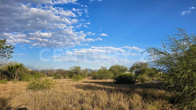Terreno Comercial en Venta sobre Av. Ruiz Cortines, Uso Mixto, 5,600 m²