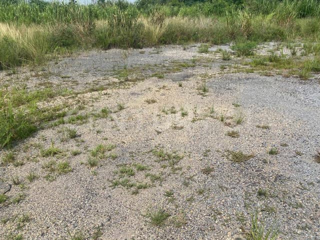 Renta de TERRENO MEDIANERO, Reyes Azteca, Minatitlan, Ver.