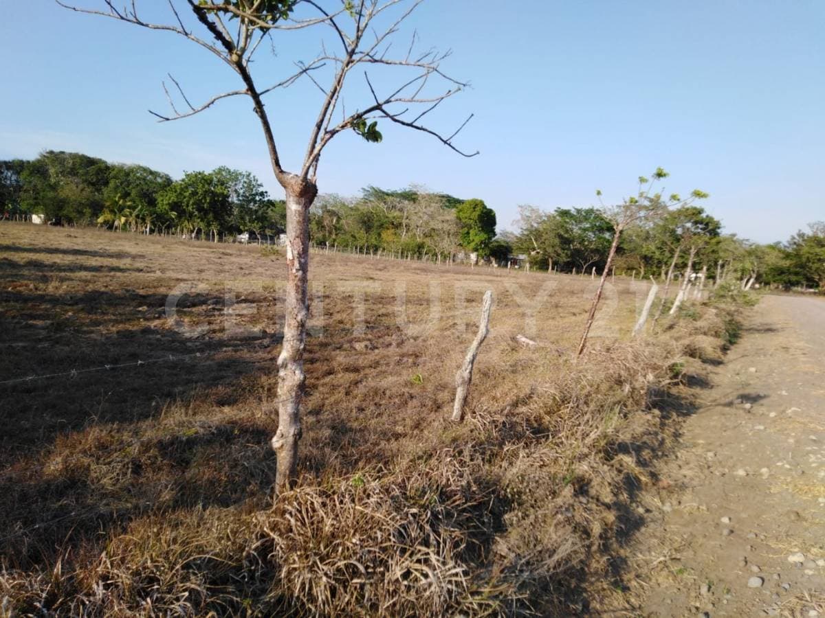Fotos adicionales