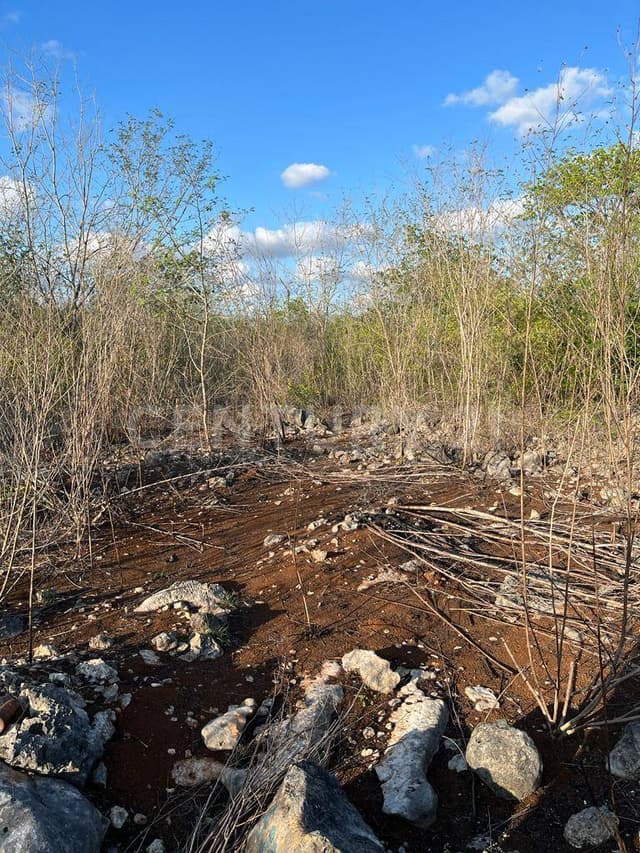 Terreno en Venta en Sitpach, Mérida, Yucatán