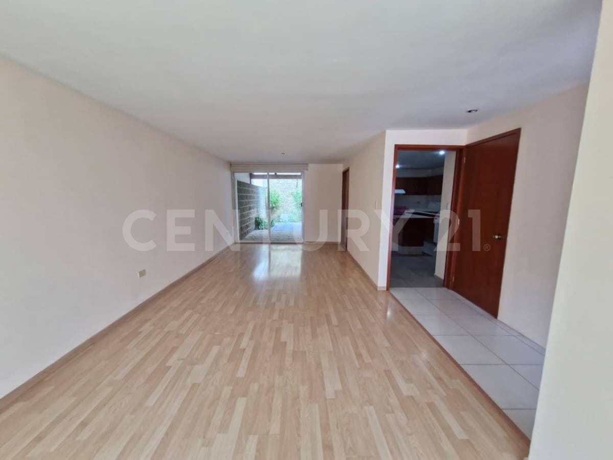 Fotos adicionales