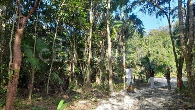 Terreno en venta en la ruta de los Cenotes, Puerto Morelos OFC3825