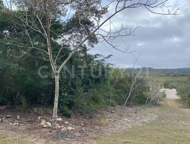 TERRENO EN VENTA EN BERRIOZABAL