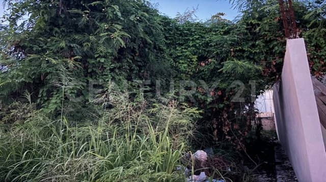 Terreno en venta, Supermanzana 503, Cancún