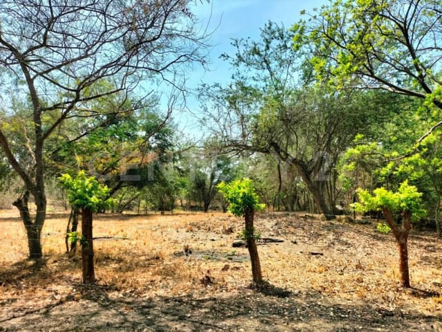 Se vende terreno en el Chivato, Villa de Alvarez, Colima.