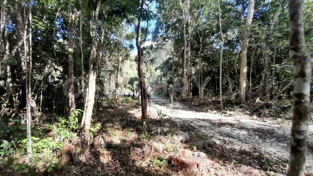 Terreno en venta en la ruta de los Cenotes, Puerto Morelos OFC3725