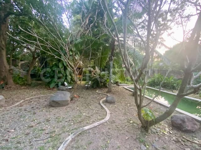 Terreno en venta en el centro de Comala