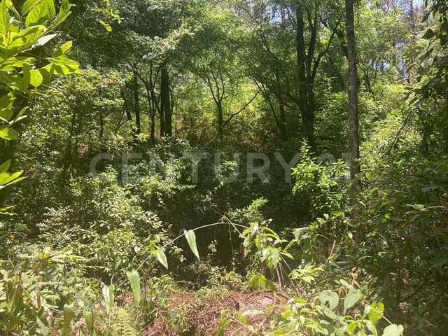 TERRENO CON VISTA AL BOSQUE, ACCESO A UN RÍO Y CASA, VALLE DE BRAVO.