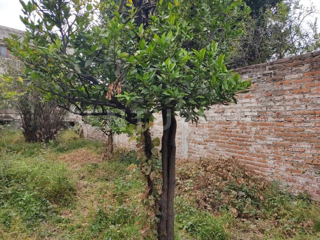 Terreno en Venta en Calle Aquiles Serdán, Centro, San Juan del Río, Querétaro.