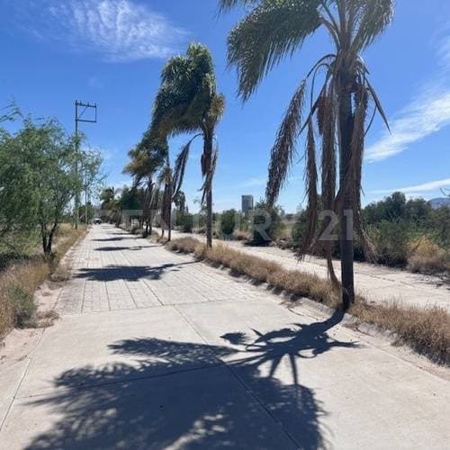 Terreno en venta Fraccionamiento Los Portales