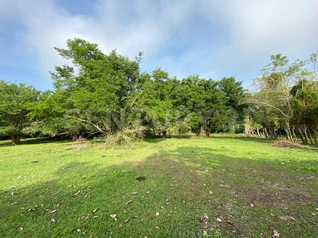 TERRENO VENTA MIRAFLORES (CARR. VILLAHERMOSA A MACUSPANA) TABASCO