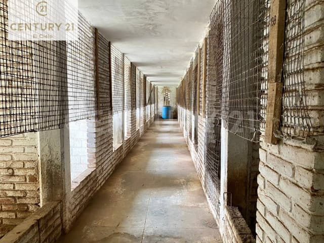 TERRENO FRACCIONAMIENTO RANCHO DE SAN MARTINITO, ZONA ANGELOPOLIS