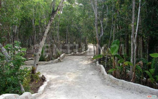 TERRENO EN TULUM A PRECIO DE OPORTUNIDAD P2780