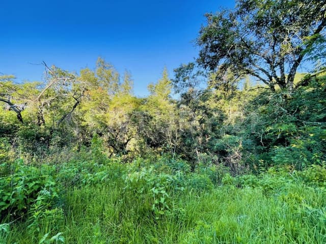 TERRENO EN VENTA CERCA DE ACATITLÁN, VALLE DE BRAVO