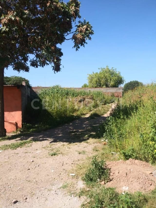 TERRENO EN VENTA FRACC. DUBLAN CD. CUAUHTEMOC, CHIHUAHUA.