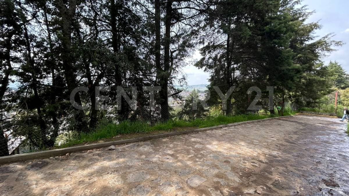 Fotos adicionales