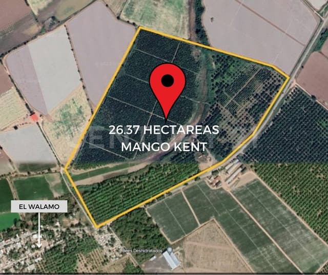 Terreno en Venta en El Walamo Sinaloa, 26.37 Hectáreas a Pie de Carretera