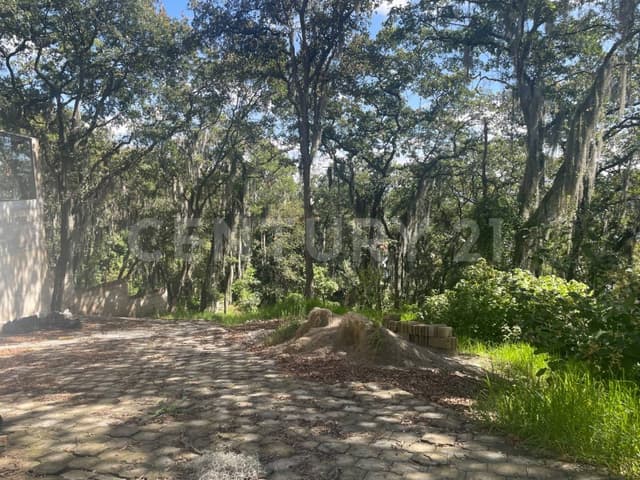 Venta Terreno Condado de Sayavedra 10713 RTV