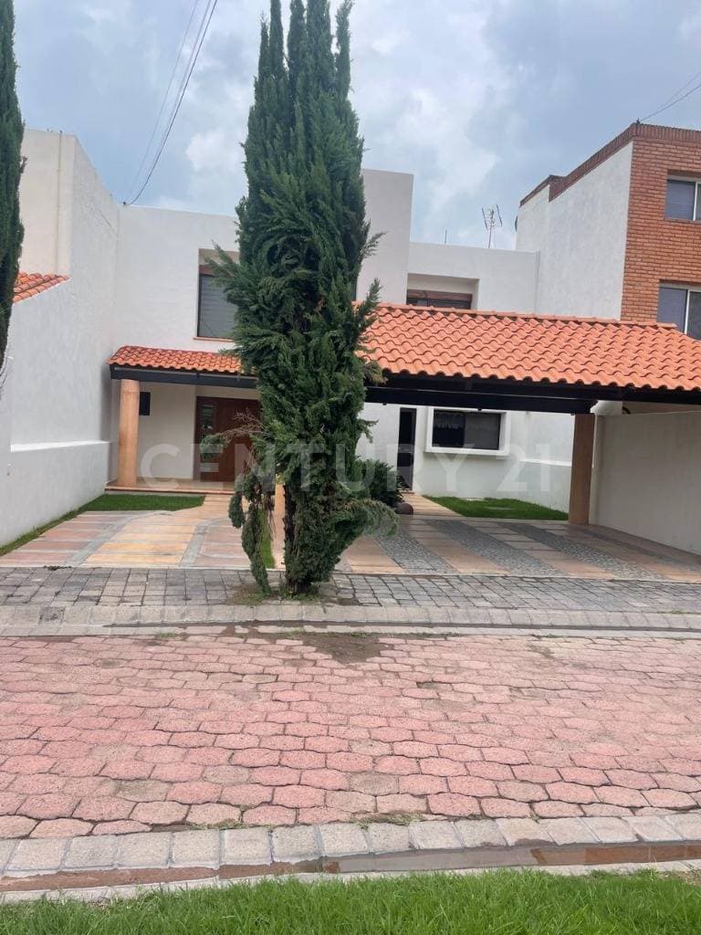 Fotos adicionales