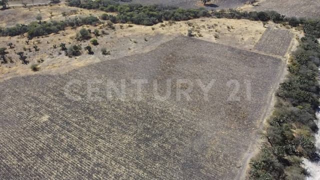 San Vicente Ferrer, El Márques, Querétaro