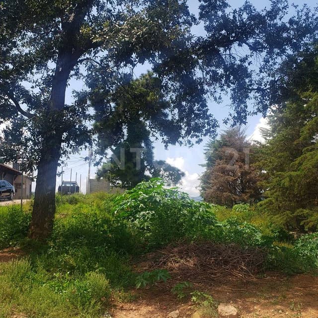 Terreno 1 en Loma Bonita, cerca del centro de Valle de Bravo