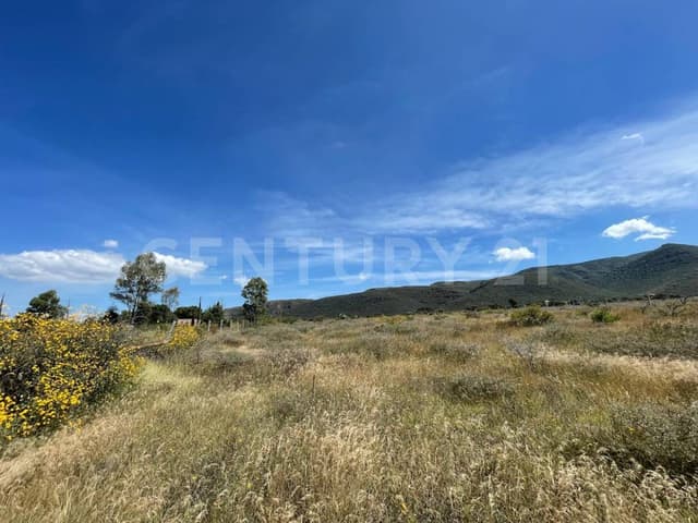 Terreno Campestre en Estancia de Canal, San Miguel de Allende