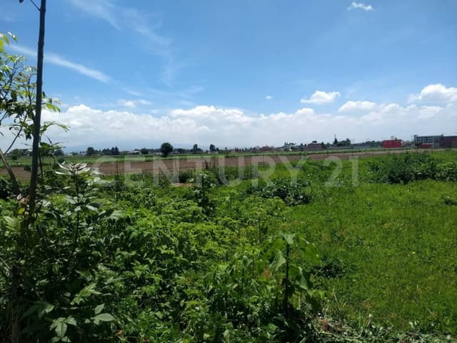 Venta de Terreno a pie de calle - San Rafael Comac - San Andrés Cholula